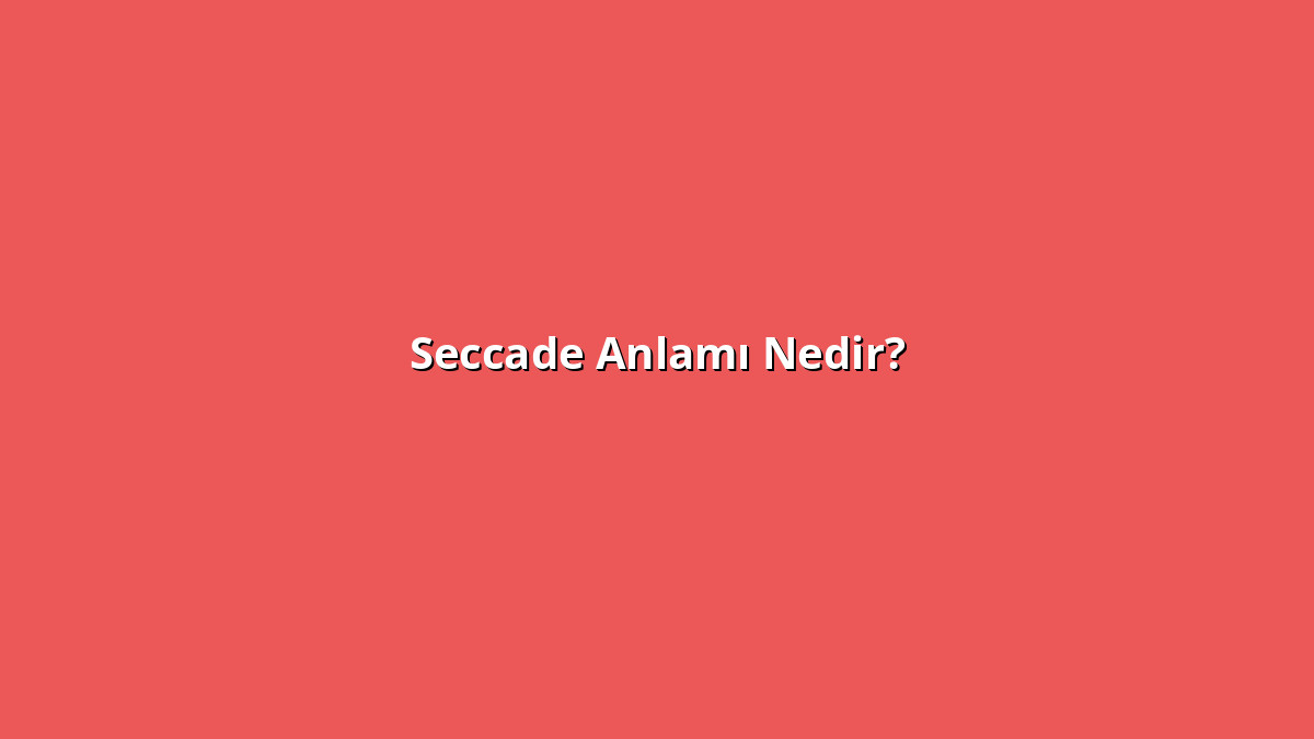 Seccade 1 - www.anlamine.com.tr Seccade Anlamı Nedir? Seccade Ne Anlama Geliyor?